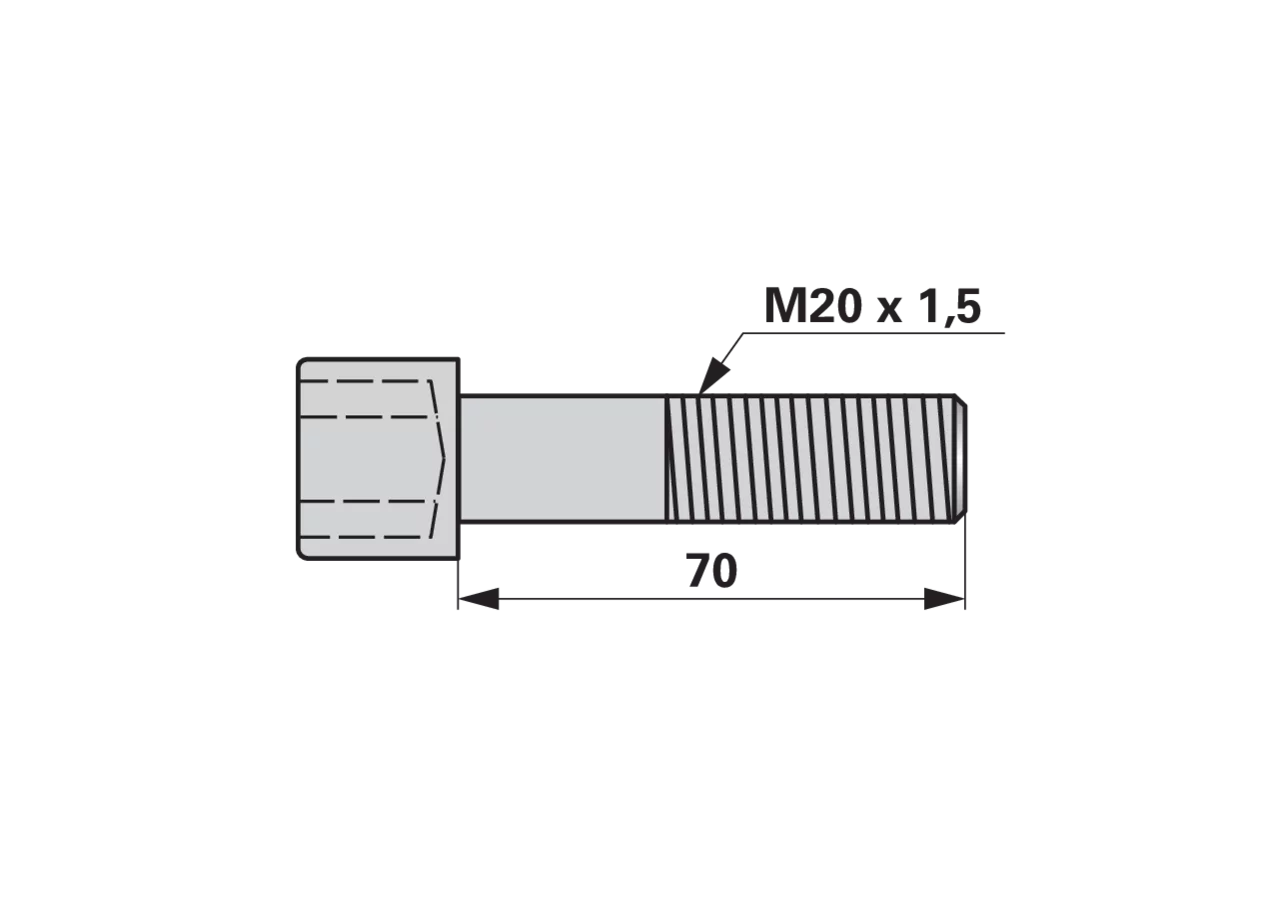 Innensechskantschraube M20x70 mm Güte 12.9 GartenShop24 - Hochwertige Gartengeräte