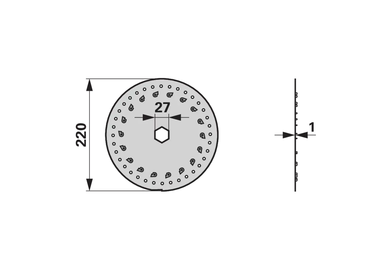 Säscheibe Gaspardo 22230051 Ø 220 mm mit 36 Bohrungen à 2,1 mm und Sechskant-ZB 27 mm