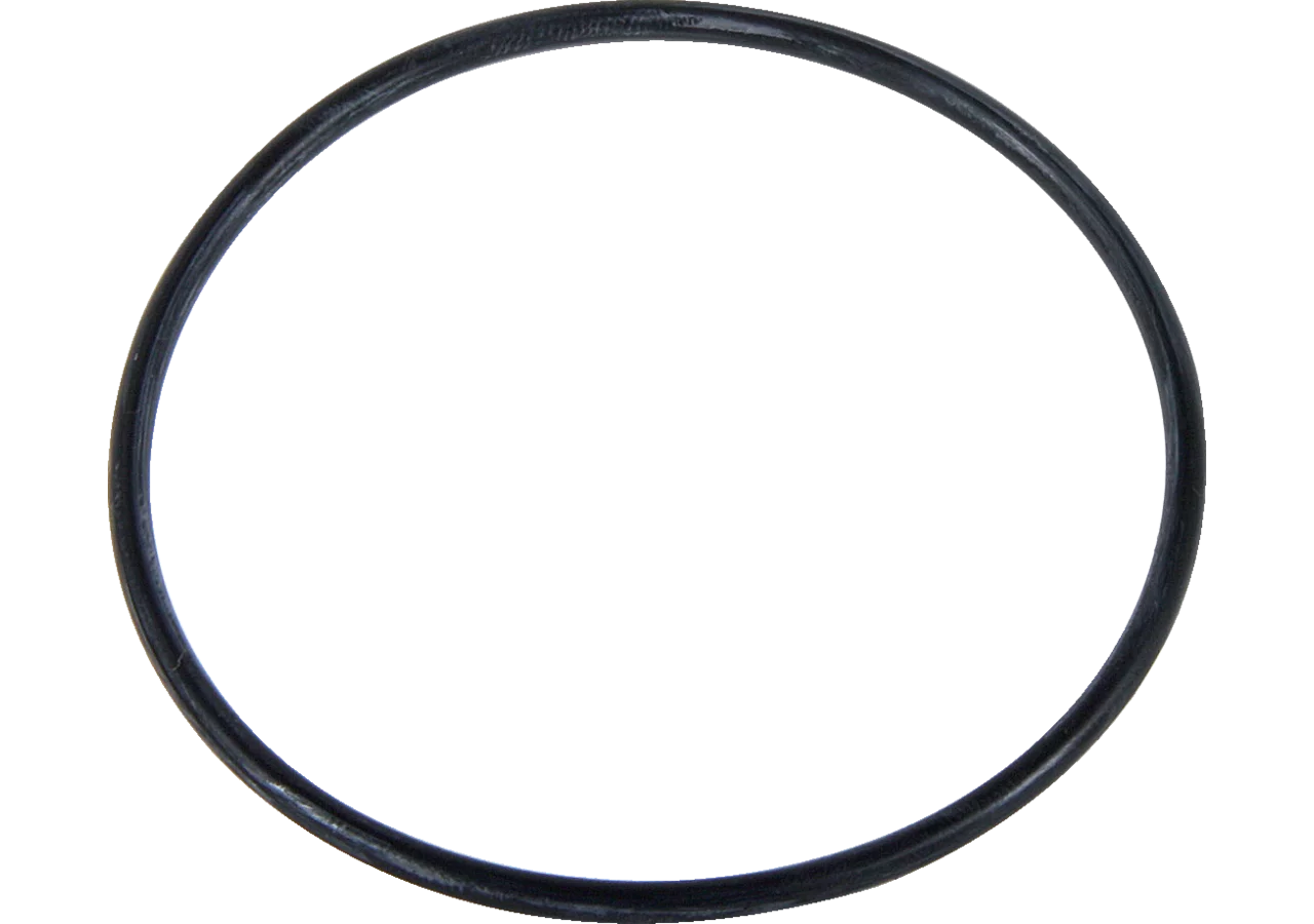 O-Ring zu Gehäuse, zu Ansaugfilter GartenShop24