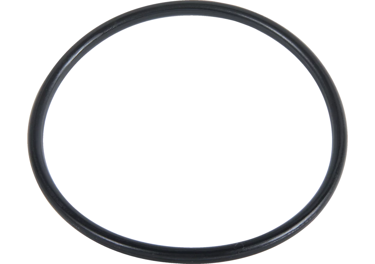 O-Ring zu Gehäuse, zu Ansaugfilter Stärke 7 mm GartenShop24