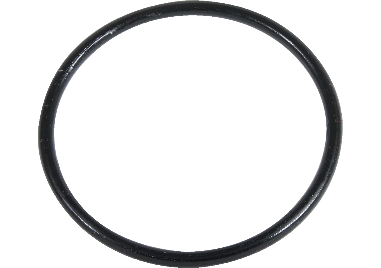 O-Ring zu Gehäuse, zu Ansaugfilter GartenShop24