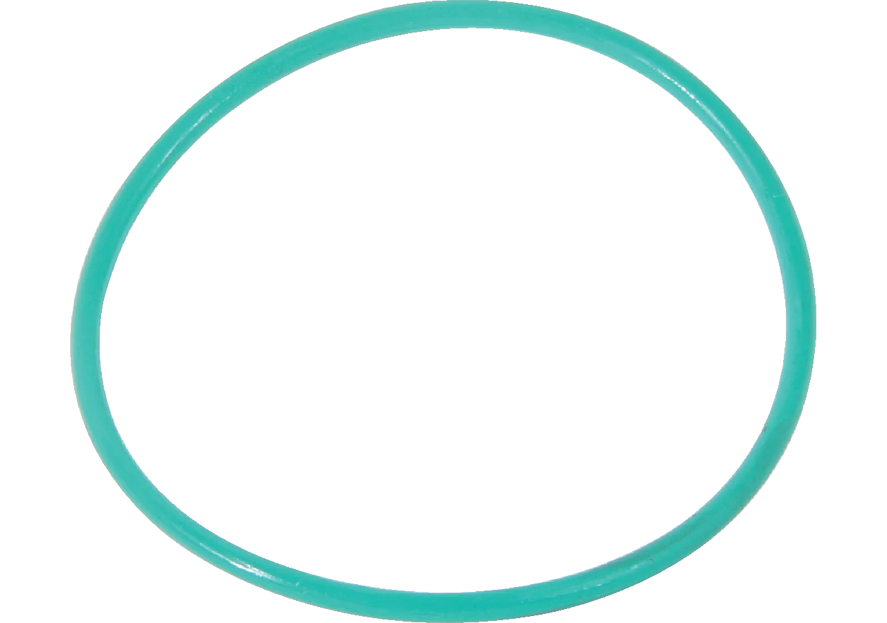 O-Ring zu Gehäuse, zu Ansaugfilter GartenShop24