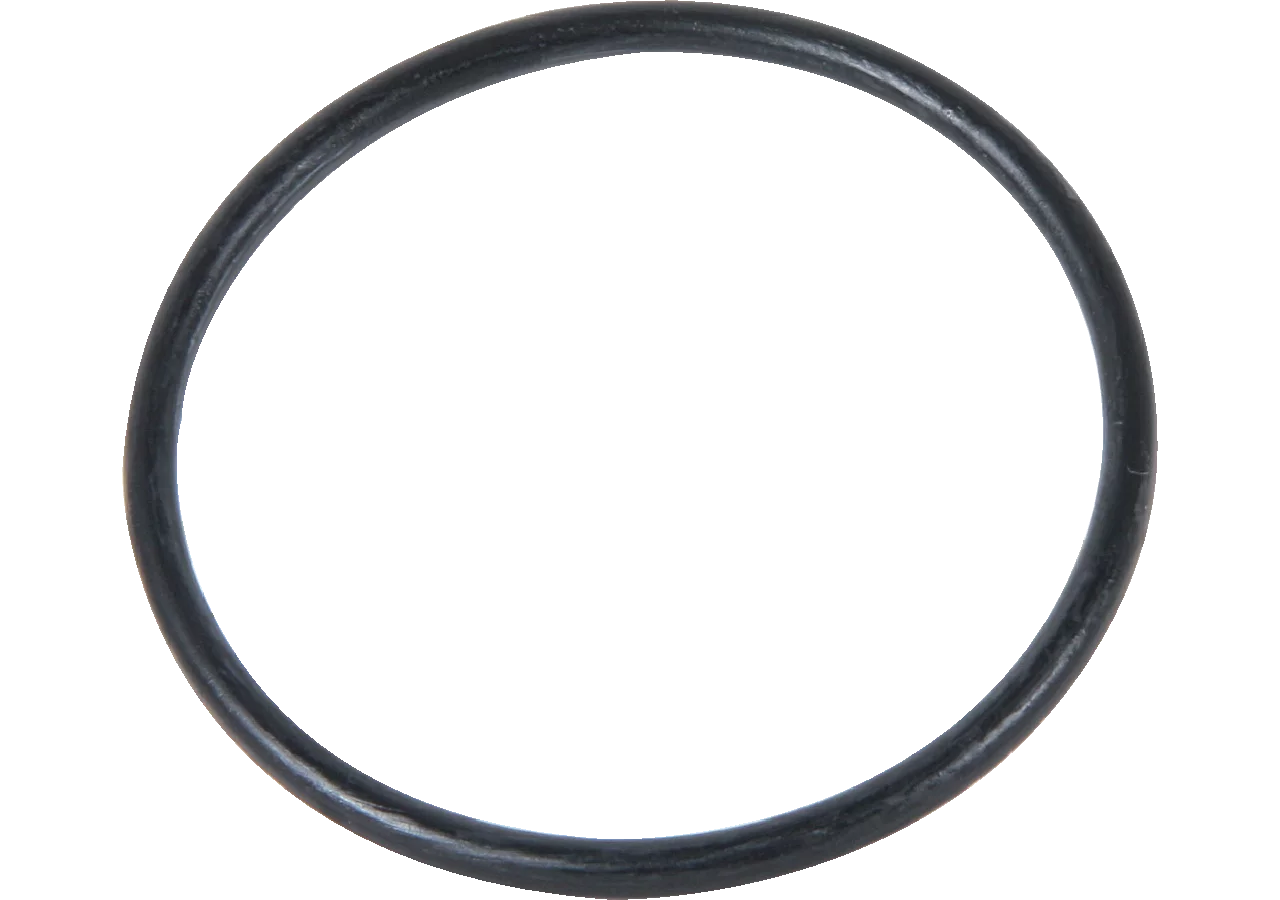 Gehäusedichtung zu Leitungsfilter GartenShop24