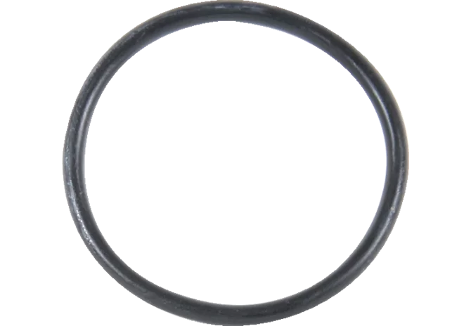 O-Ring zu Filtereinsatz GartenShop24