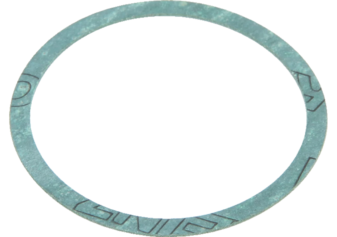 Dichtung Rau 00014019 Rau