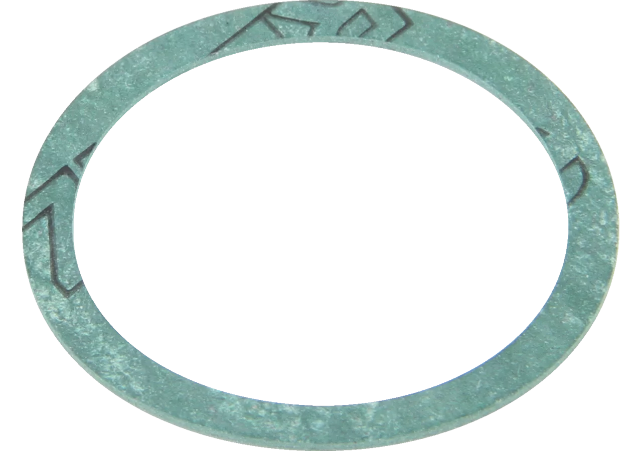 Dichtung Rau 00022169 Rau