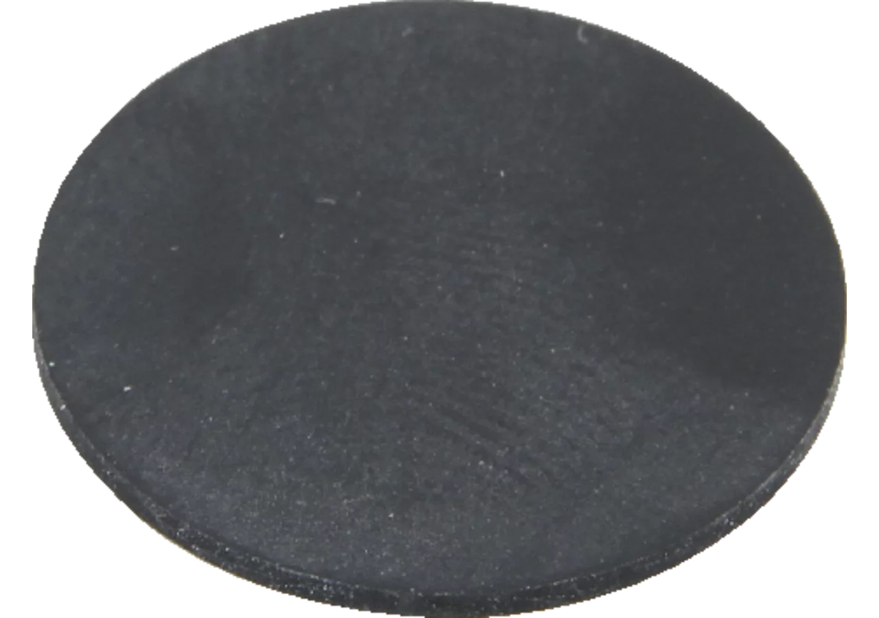 Membrane Rau 00026847 Rau