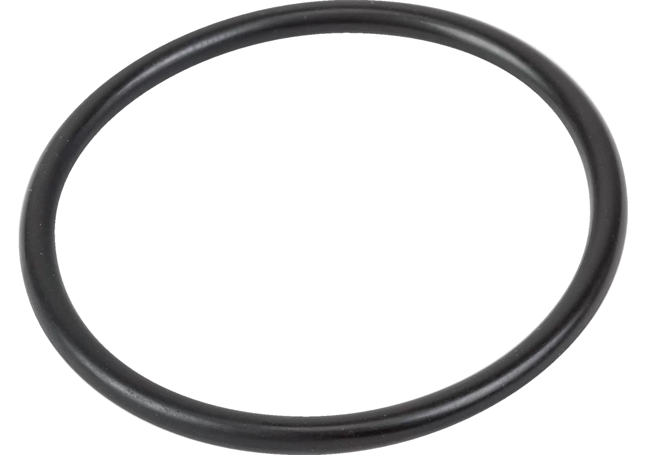 O-Ring 42 x 3 mm Rau 00018765 Rau