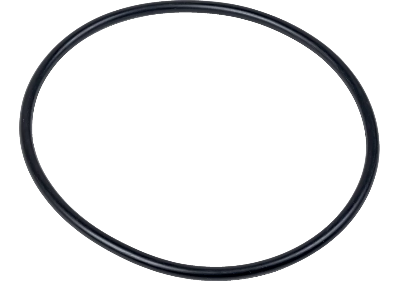 O-Ring zu Filtergehäuse GartenShop24