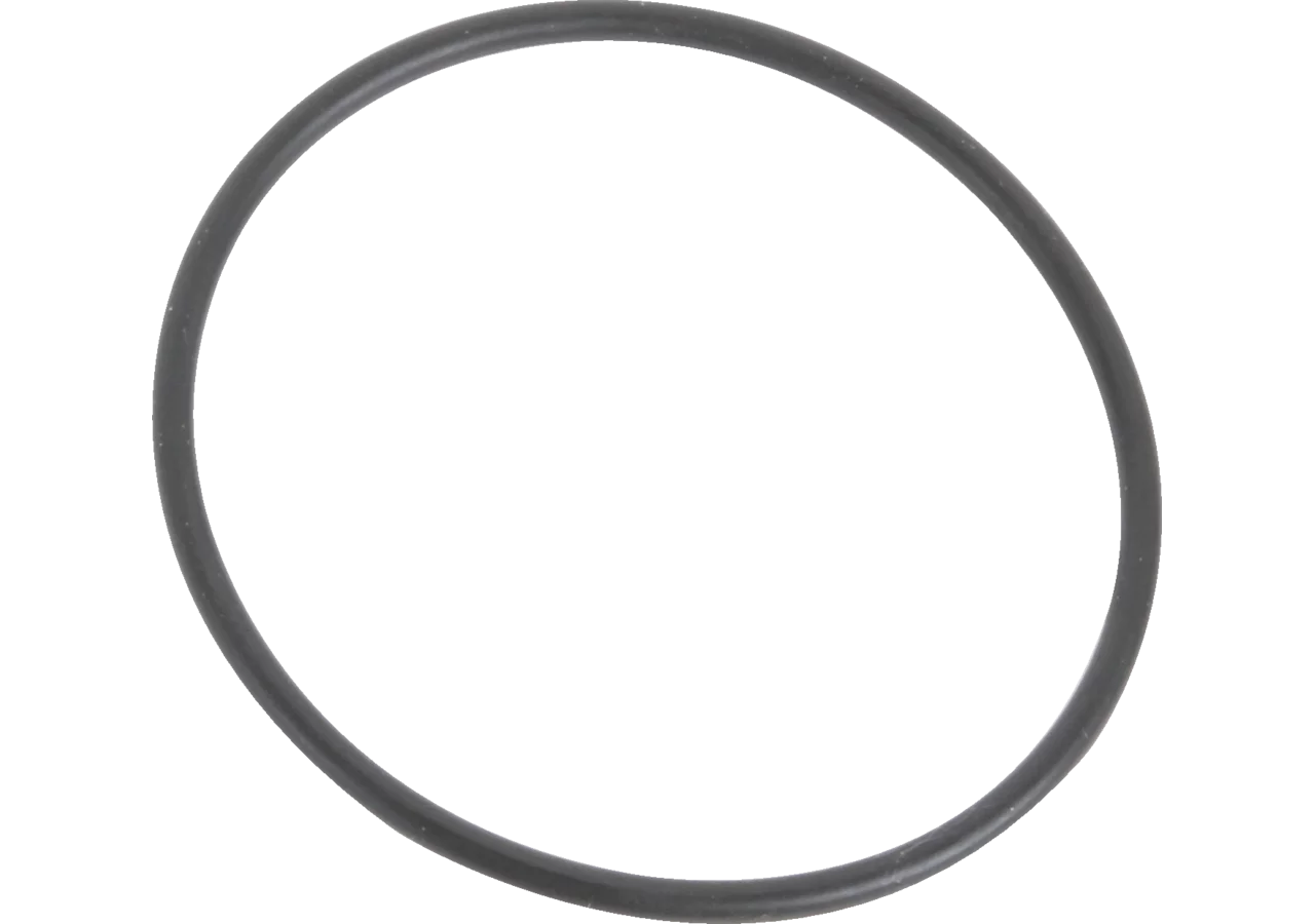 O-Ring 53,65 x 2,62 mm Annovi Reverberi 650920 Annovi Reverberi