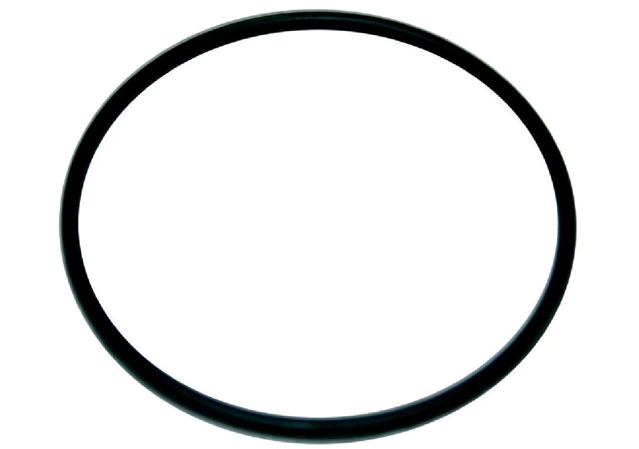 O-Ring Annovi Reverberi 1040060 Annovi Reverberi