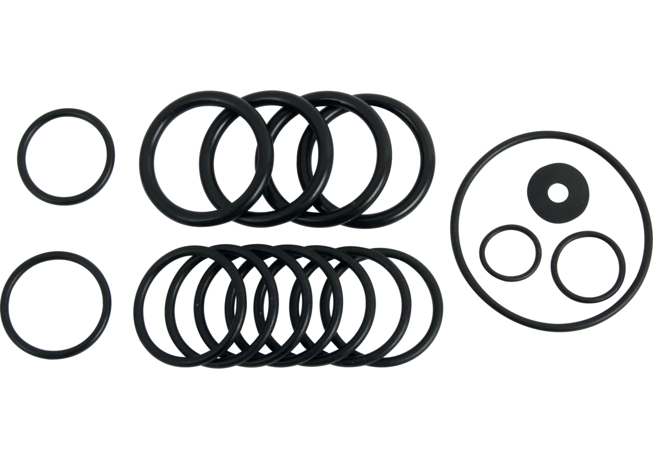 O-Ring-Satz Annovi Reverberi 2365 Annovi Reverberi