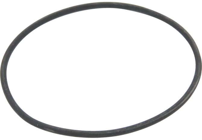 O-Ring 117,1 x 3,53 mm Comet 1210036900 Comet