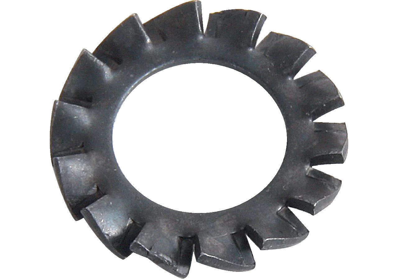 Fächerscheibe ID 8 mm GartenShop24