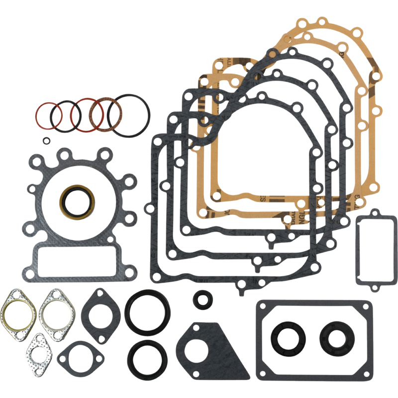 Briggs Motordichtsatz 495993