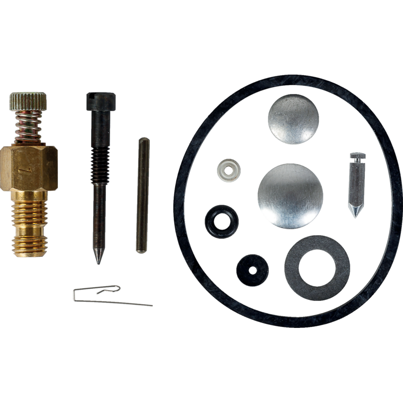 Tecumseh Vergaserreparatursatz 631029