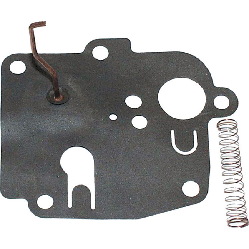 Briggs Membran 391681