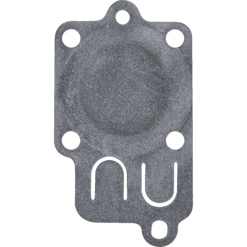 Briggs Membran 270026