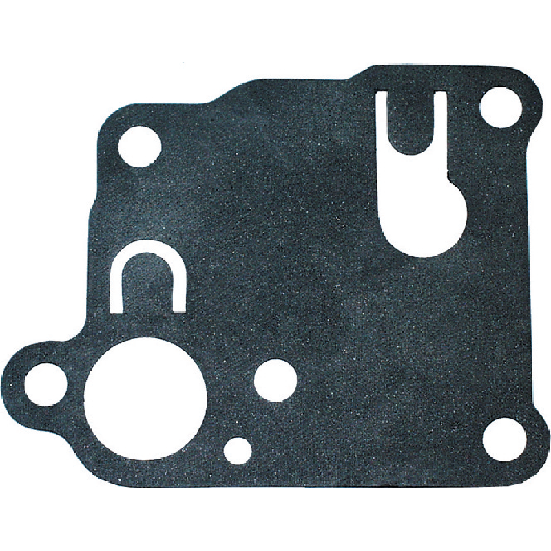 Briggs Membran 270253