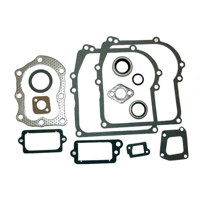 Briggs Motordichtsatz 298989