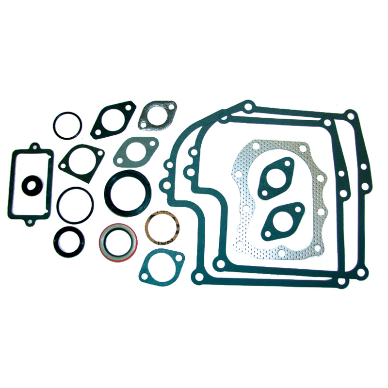 Briggs Motordichtsatz 299577