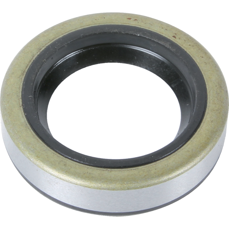 Briggs Wellendichtring AD 35 mm 391483