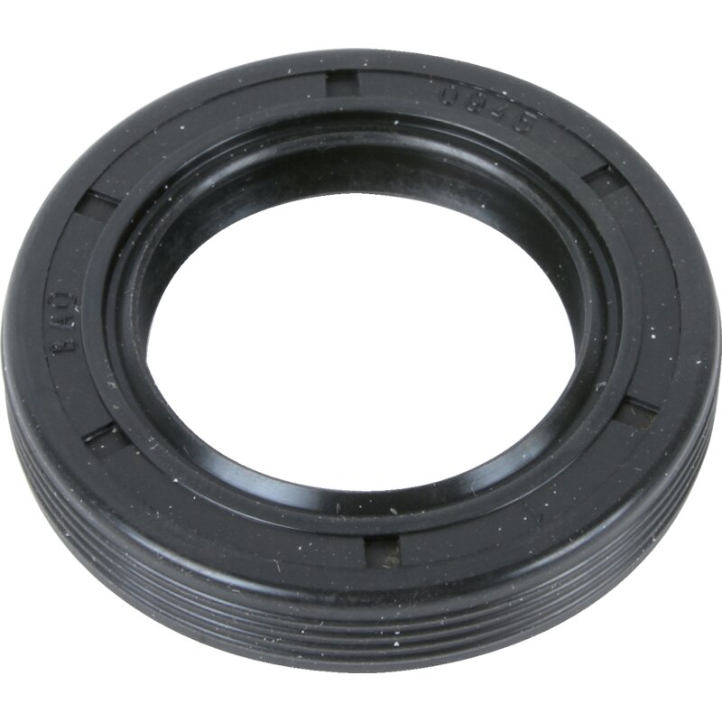 Briggs Wellendichtring AD 43 mm 399781