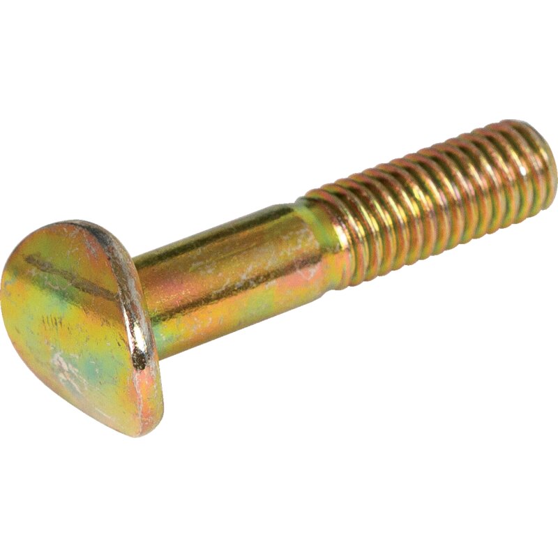 Holmschraube M8 x 40 mm – Holmschraube aus verzinktem Stahl