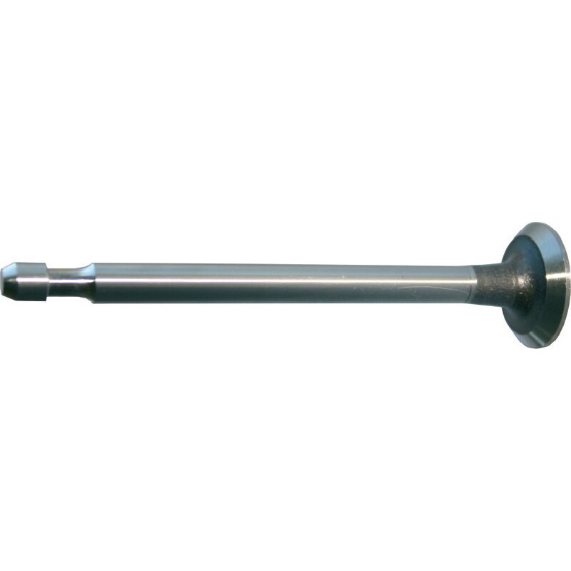 Briggs Auslassventil 296676