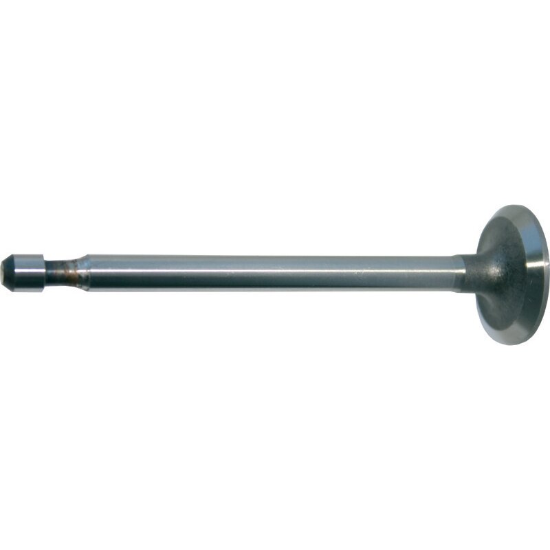Briggs Einlassventil 296677