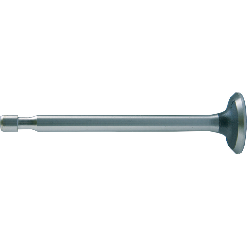 Briggs Auslassventil 262651