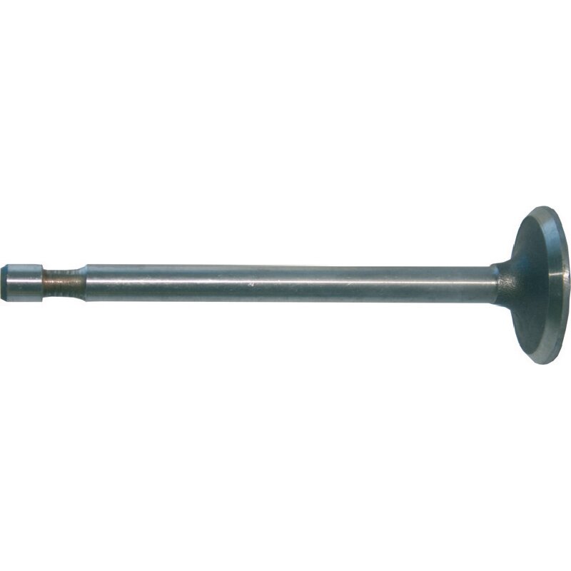 Briggs Einlassventil 262652
