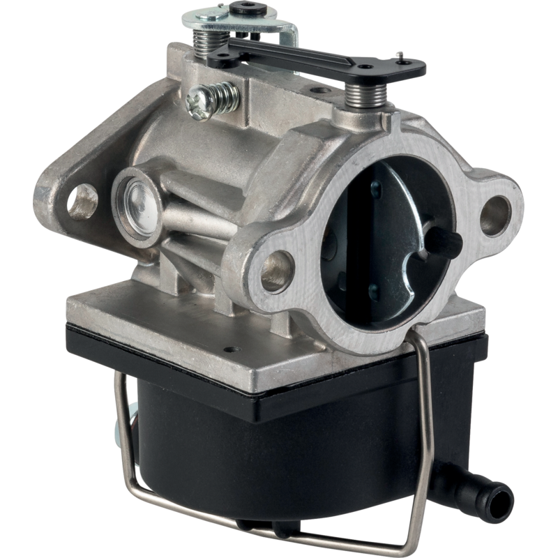 Tecumseh Vergaser 640065