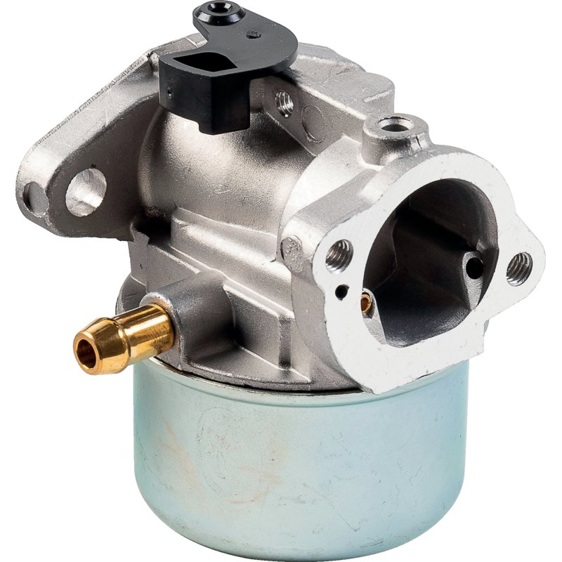 Briggs Vergaser 799868