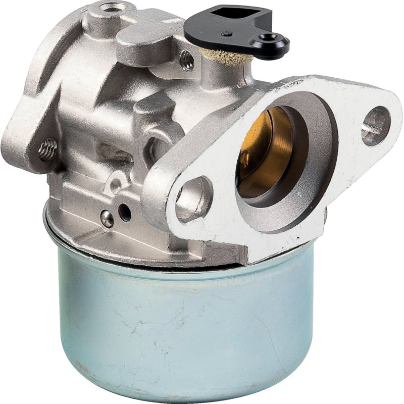 Briggs Vergaser 799868