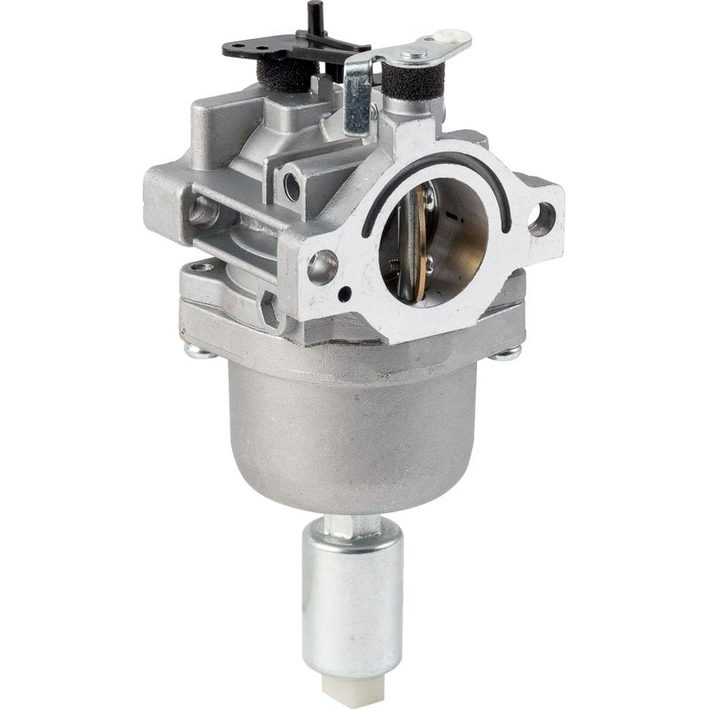 Briggs Vergaser 591731