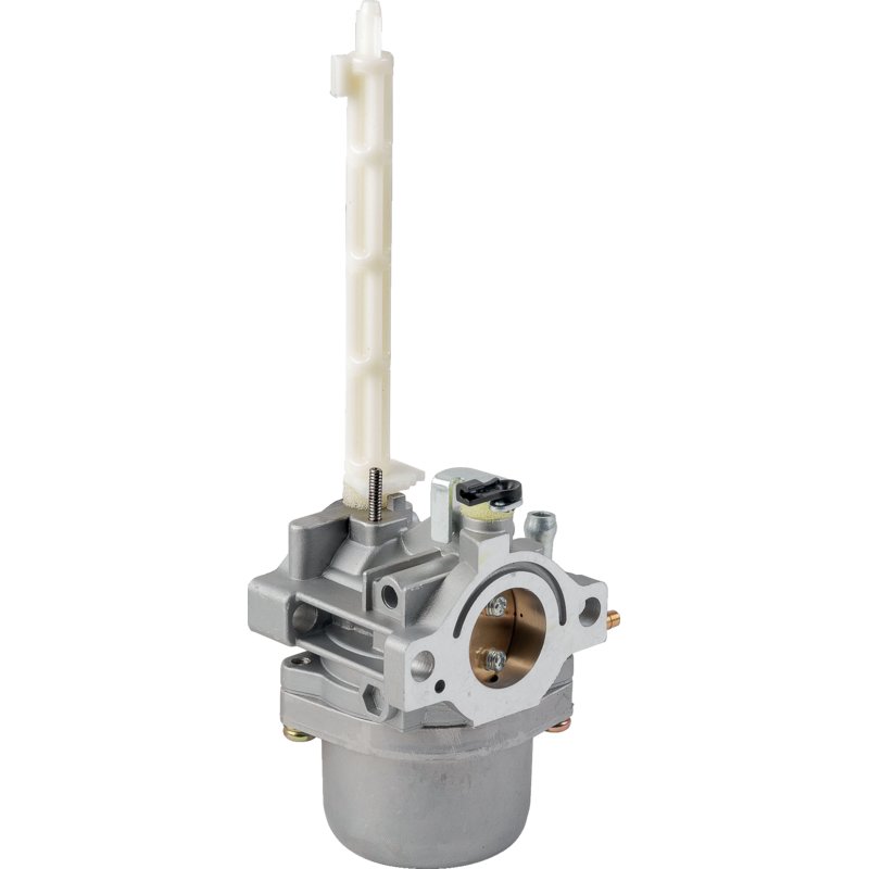 Briggs Vergaser 796122