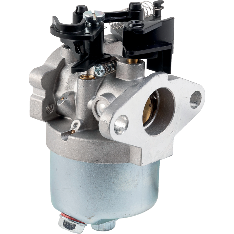 Briggs Vergaser 793493