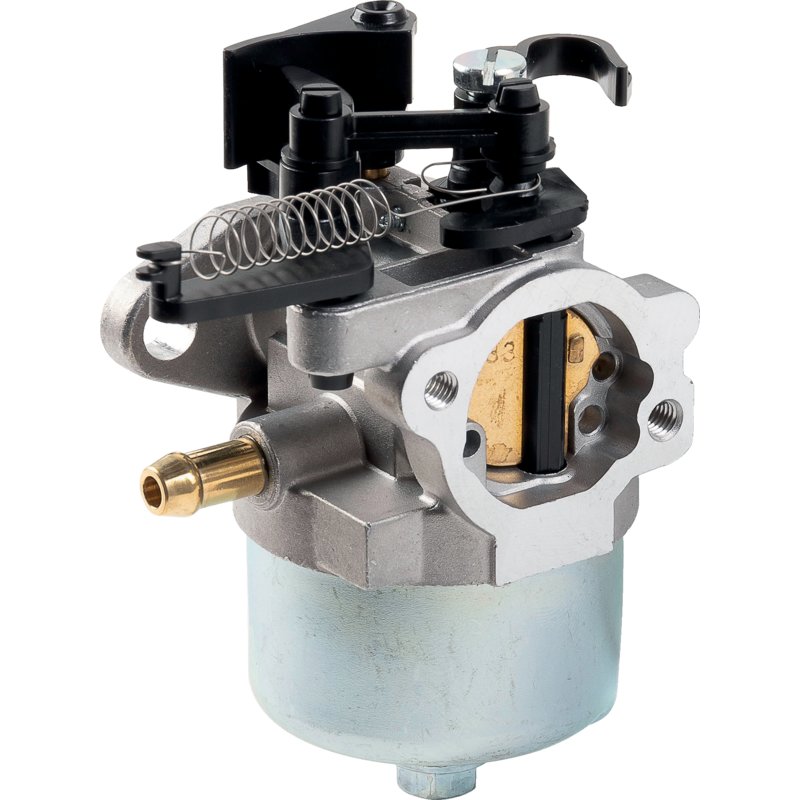 Briggs Vergaser 793493