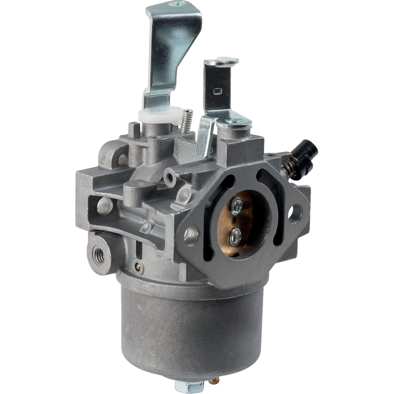 Briggs Vergaser 715668