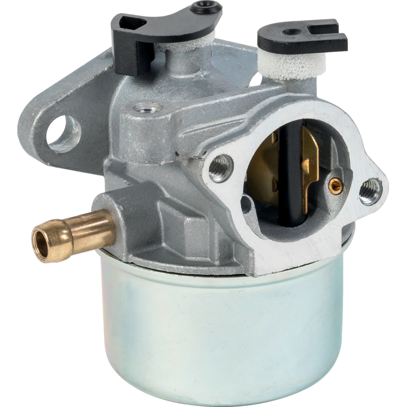 Briggs Vergaser 790845