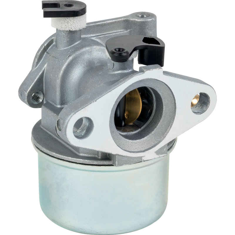 Briggs Vergaser 790845