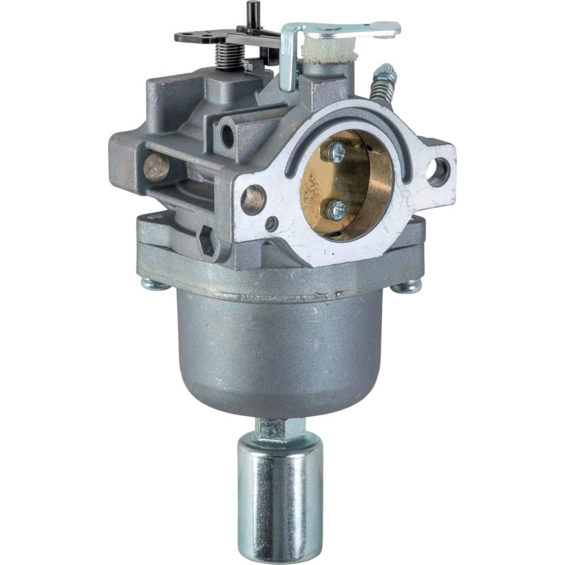 Briggs Vergaser 690194
