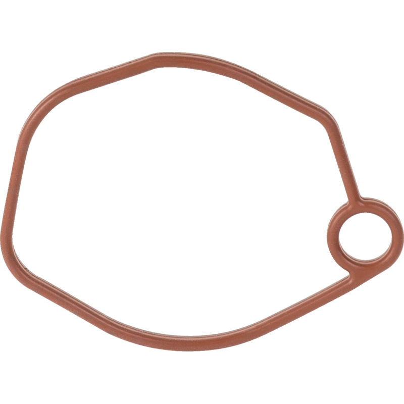 Luftfilteranschlussdichtung Loncin 170430177-0001 – passend zu Modell: 1P65FE-2