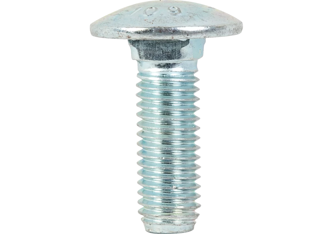 Flachrundschraube M10 x 30, 10.9, Linksgewinde GartenShop24