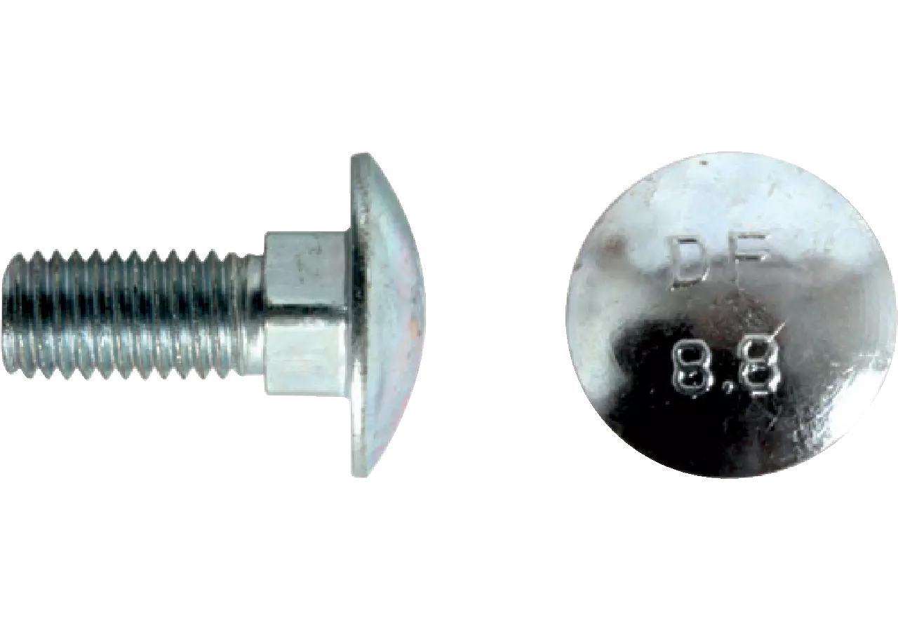 Torbandschraube M12 x 30 mm GartenShop24
