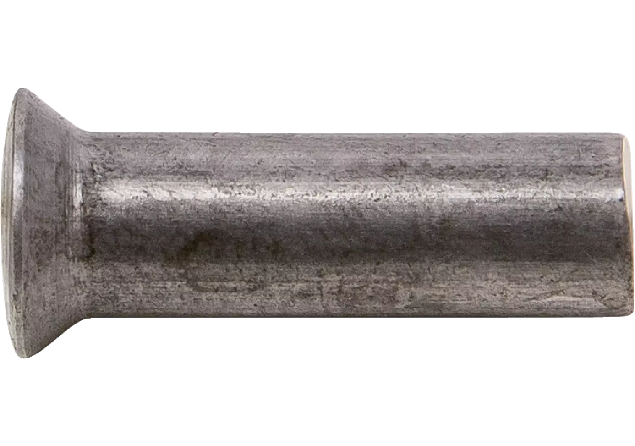 Linsenkopfniet AD 6 x L 26 mm, 80 Stück – passend für ESM 3231901 GartenShop24