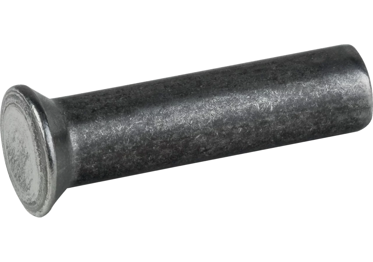 Linsenkopfniet 6 x 24 mm, 90 Stück ESM 323.1801 ESM