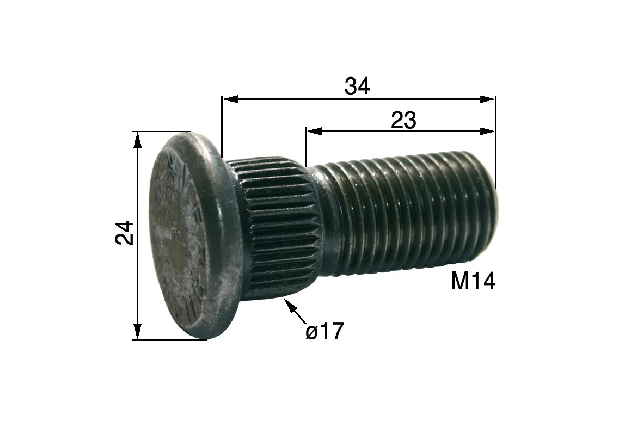 Spezialschraube M14 x 35 mm – passend für Rapid 253039 GartenShop24
