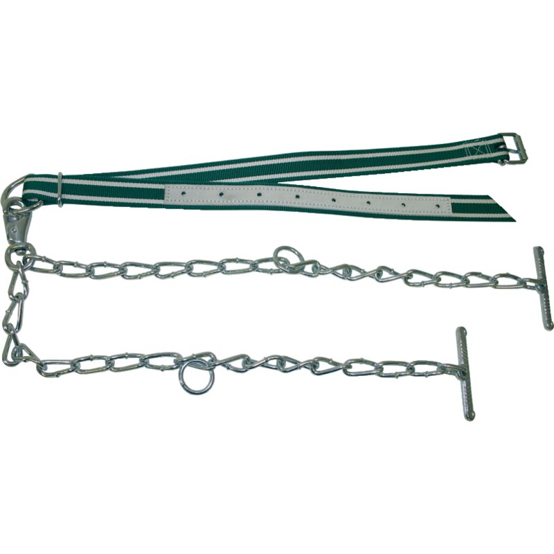 Rinderanbindung doppelt, mit Kettenunterteil – Komplett mit Halsband 130 x 4 cm und Kettentei GartenShop24 - Hochwertige Gartengeräte